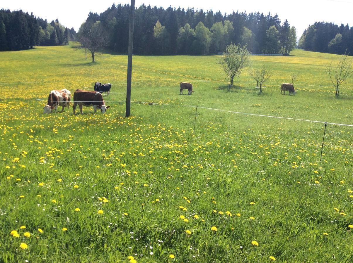 Ferienbauernhof Koller Villa Helfenberg Buitenkant foto