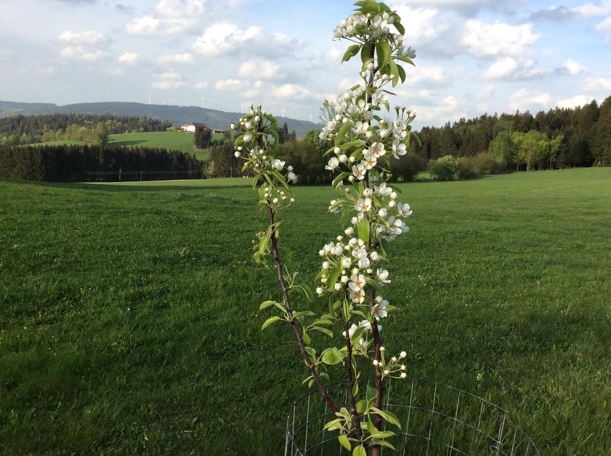 Ferienbauernhof Koller Villa Helfenberg Buitenkant foto