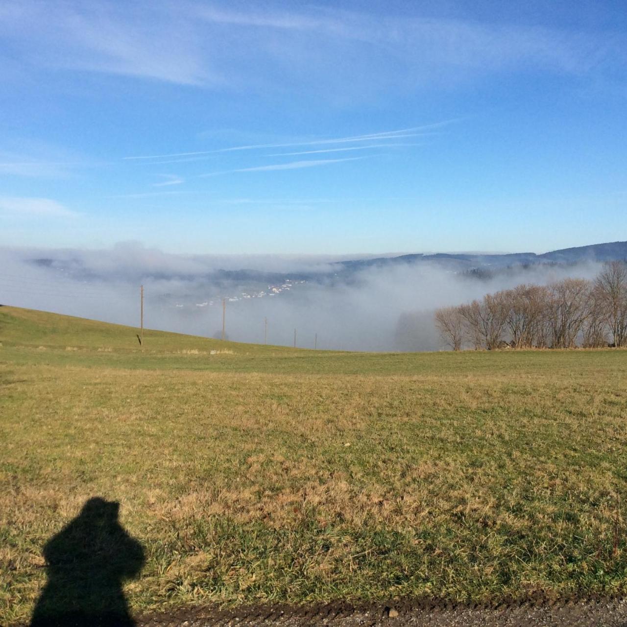 Ferienbauernhof Koller Villa Helfenberg Buitenkant foto