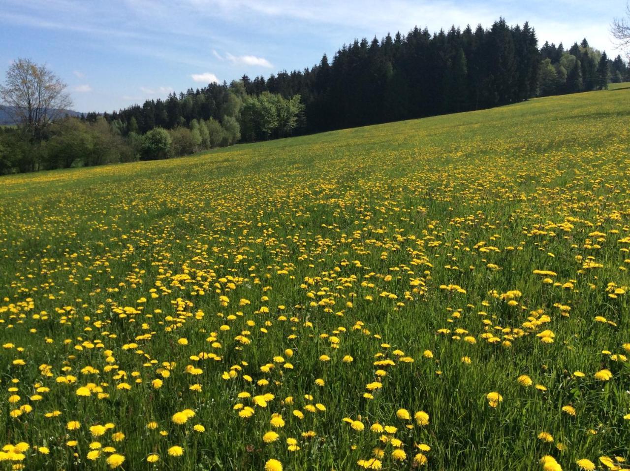 Ferienbauernhof Koller Villa Helfenberg Buitenkant foto